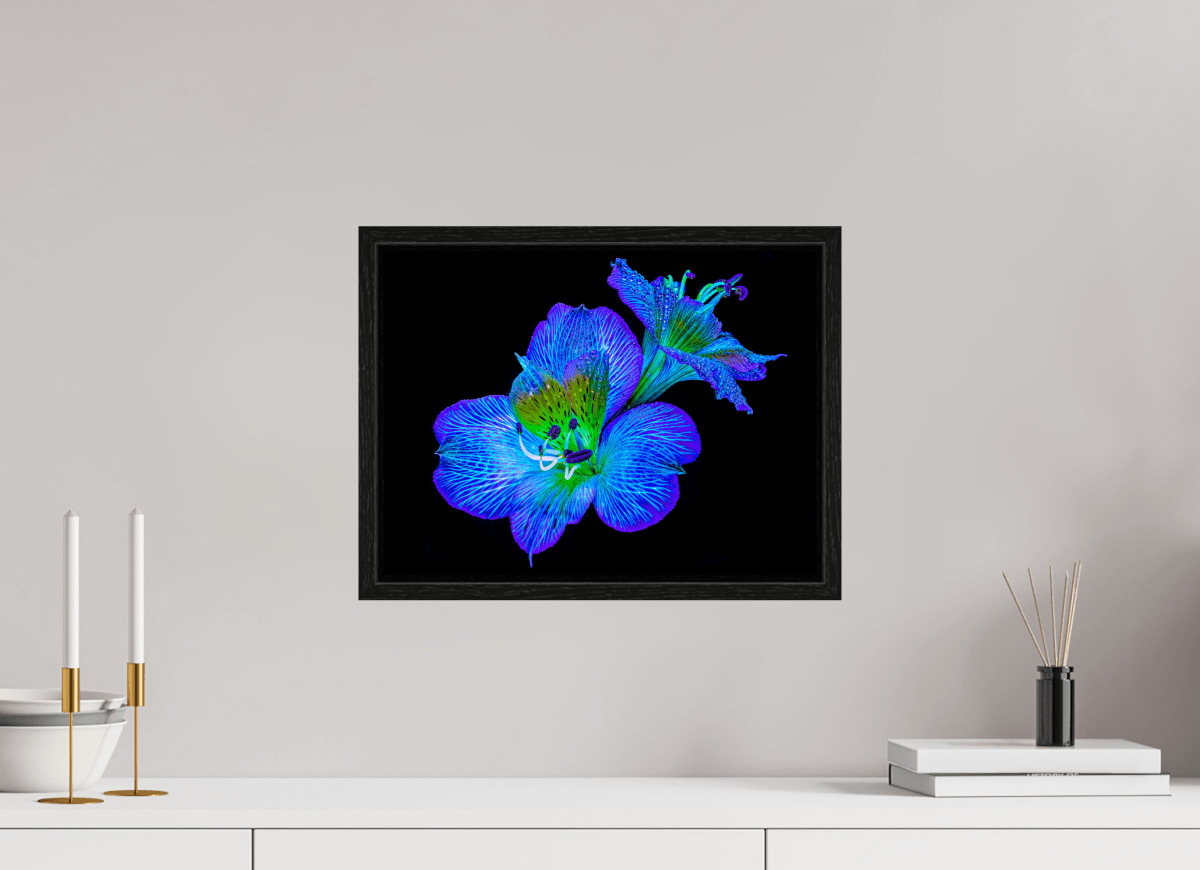 Alstroemeria des Lueurs Cachées - Idealart