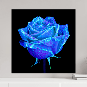 La Rose qui Rêvait le Ciel - Idealart