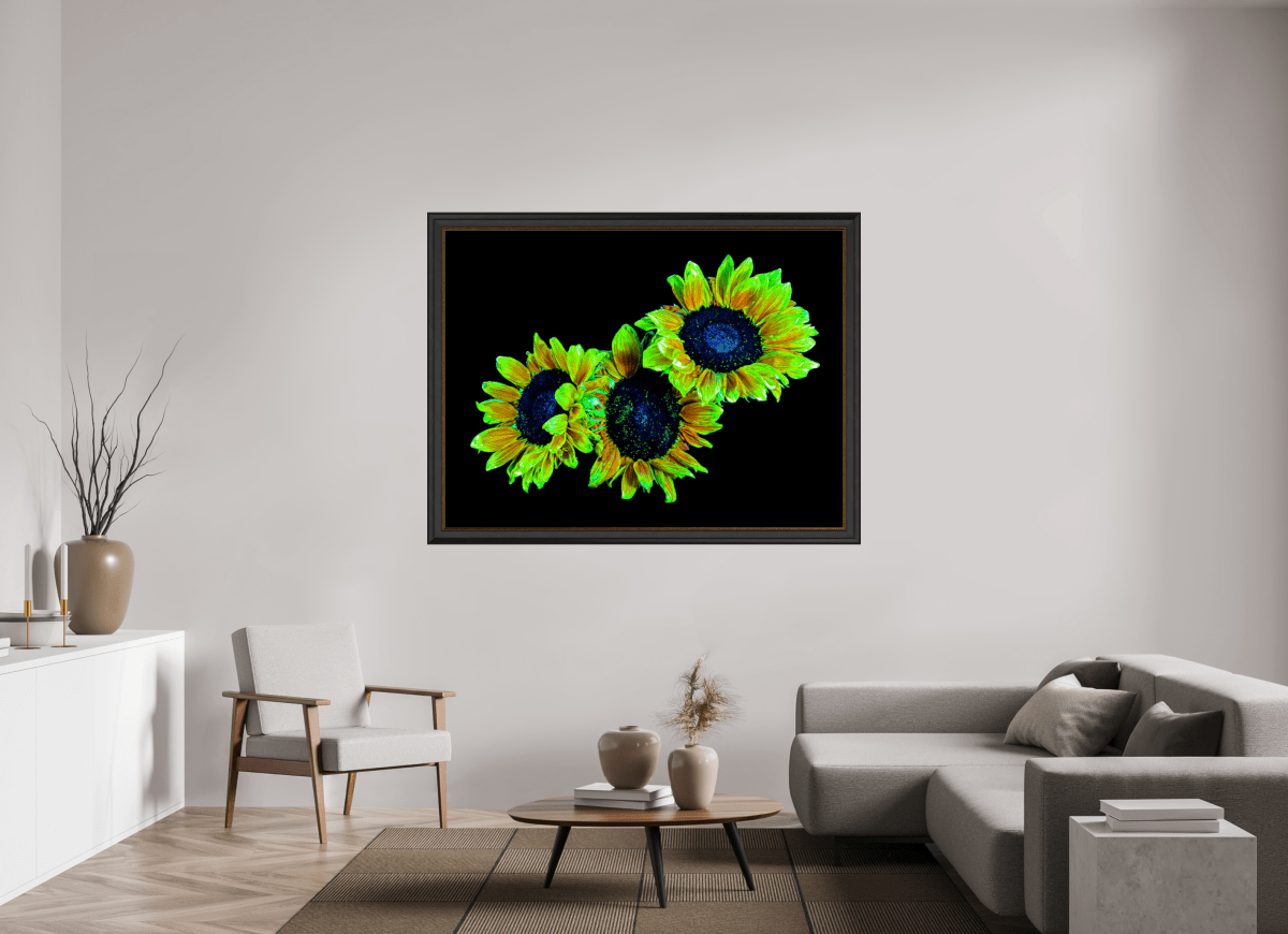 Les gardiens du jour endormi - Idealart