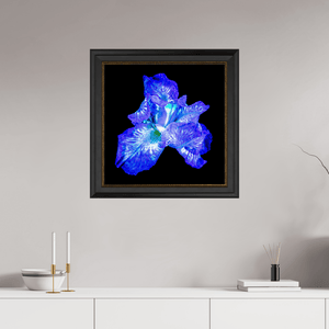L’Opale des Ombres - Idealart