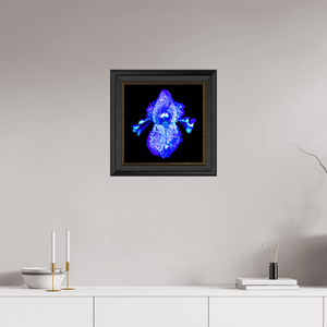 Iris des Profondeurs Lumineuses - Idealart