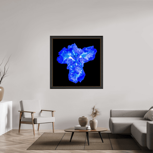 Iris du Cœur Lumineux - Idealart