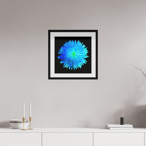 L’Astre Bleu - Idealart