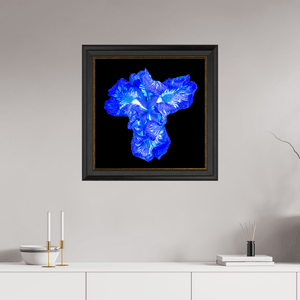 Iris du Cœur Lumineux - Idealart