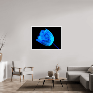 À l’abri de ta lumière - Idealart