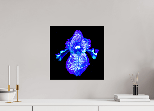 Iris des Profondeurs Lumineuses - Idealart