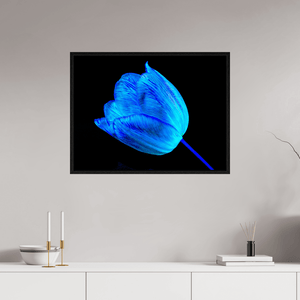 À l’abri de ta lumière - Idealart