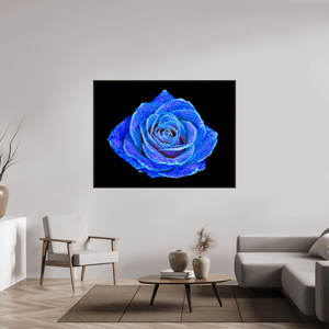 La Rose aux mille constellations - Idealart