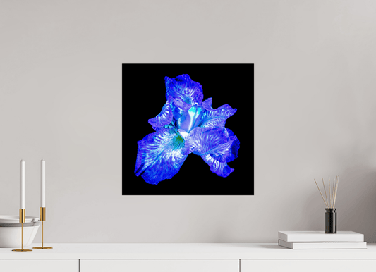 L’Opale des Ombres - Idealart