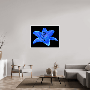 Le Lys Astral - Idealart