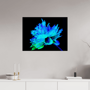 L’Éclat Bleu de la Pivoine Astrale - Idealart