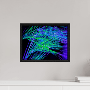 Les Lignes où Court la Lumière - Idealart