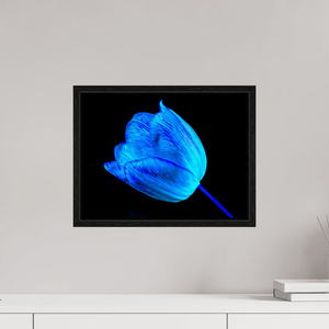 À l’abri de ta lumière - Idealart