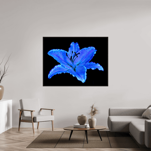 Le Lys Astral - Idealart