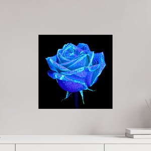 La Rose qui Rêvait le Ciel - Idealart