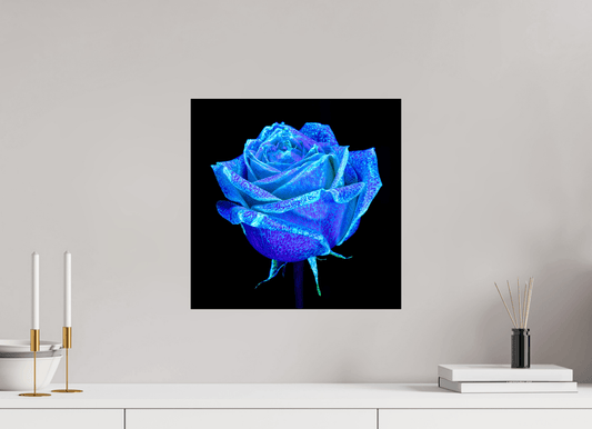 La Rose qui Rêvait le Ciel - Idealart