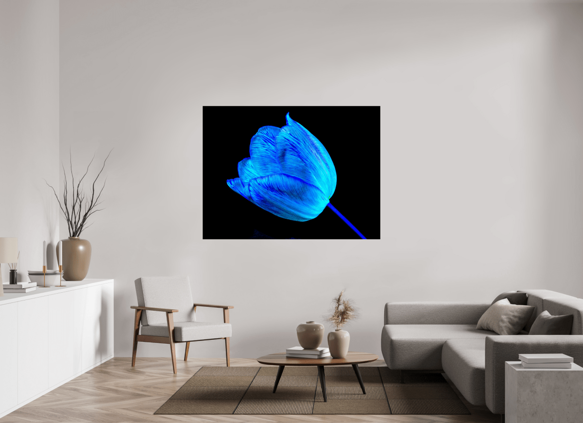 À l’abri de ta lumière - Idealart