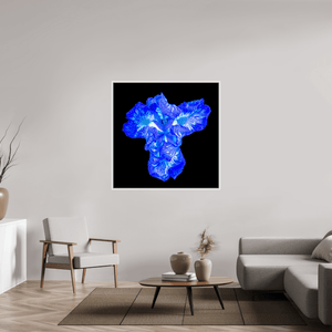 Iris du Cœur Lumineux - Idealart