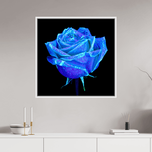 La Rose qui Rêvait le Ciel - Idealart