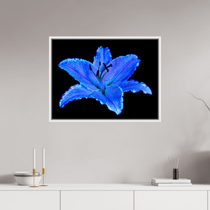 Le Lys Astral - Idealart