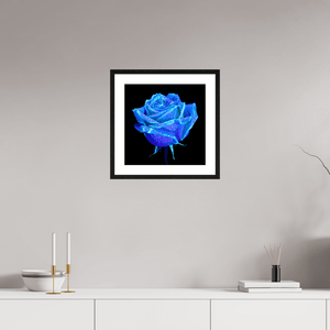 La Rose qui Rêvait le Ciel - Idealart