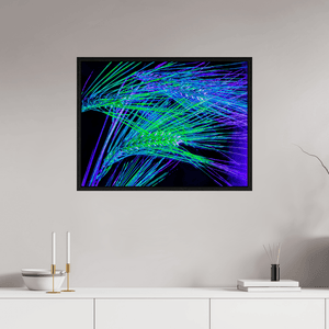 Les Lignes où Court la Lumière - Idealart