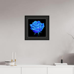 La Rose qui Rêvait le Ciel - Idealart