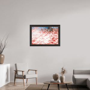 La mer des plumes rouges - Idealart