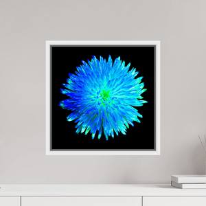 L’Astre Bleu - Idealart