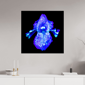 Iris des Profondeurs Lumineuses - Idealart