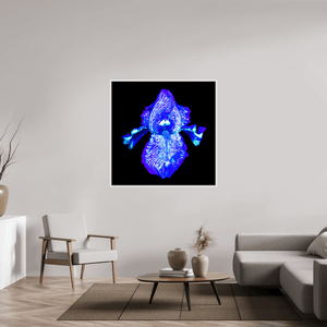 Iris des Profondeurs Lumineuses - Idealart