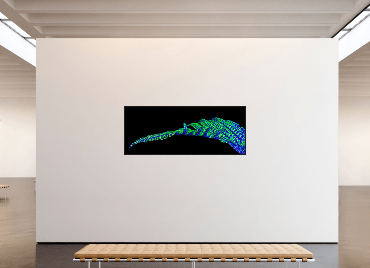 La Ligne des Origines - Idealart