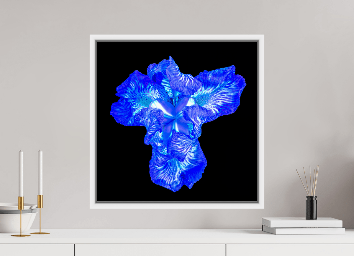 Iris du Cœur Lumineux - Idealart