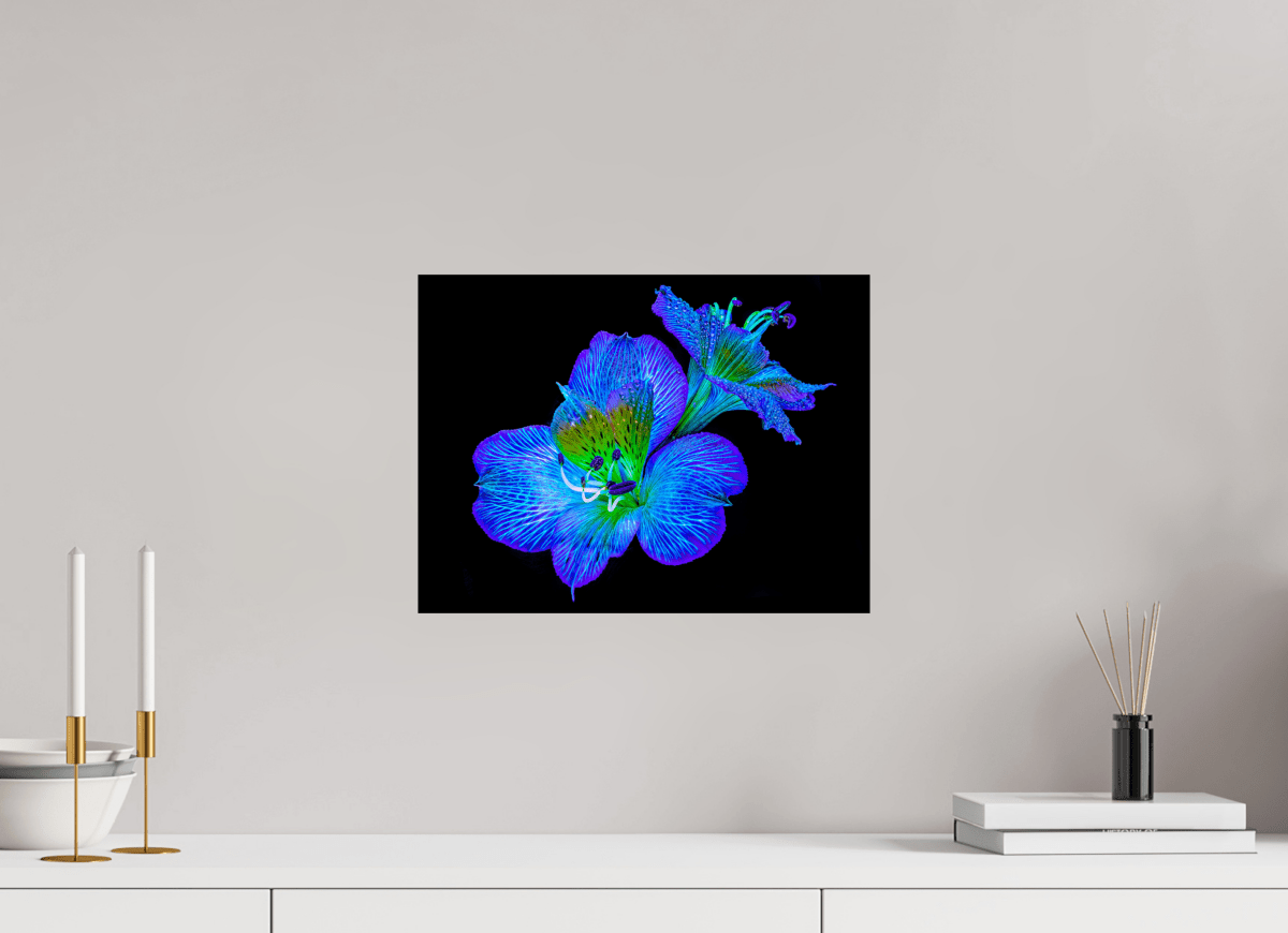 Alstroemeria des Lueurs Cachées - Idealart