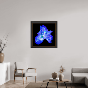 L’Opale des Ombres - Idealart