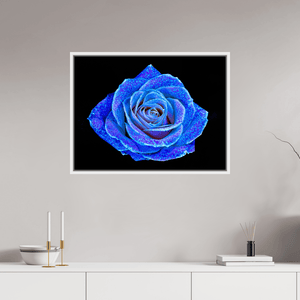 La Rose aux mille constellations - Idealart