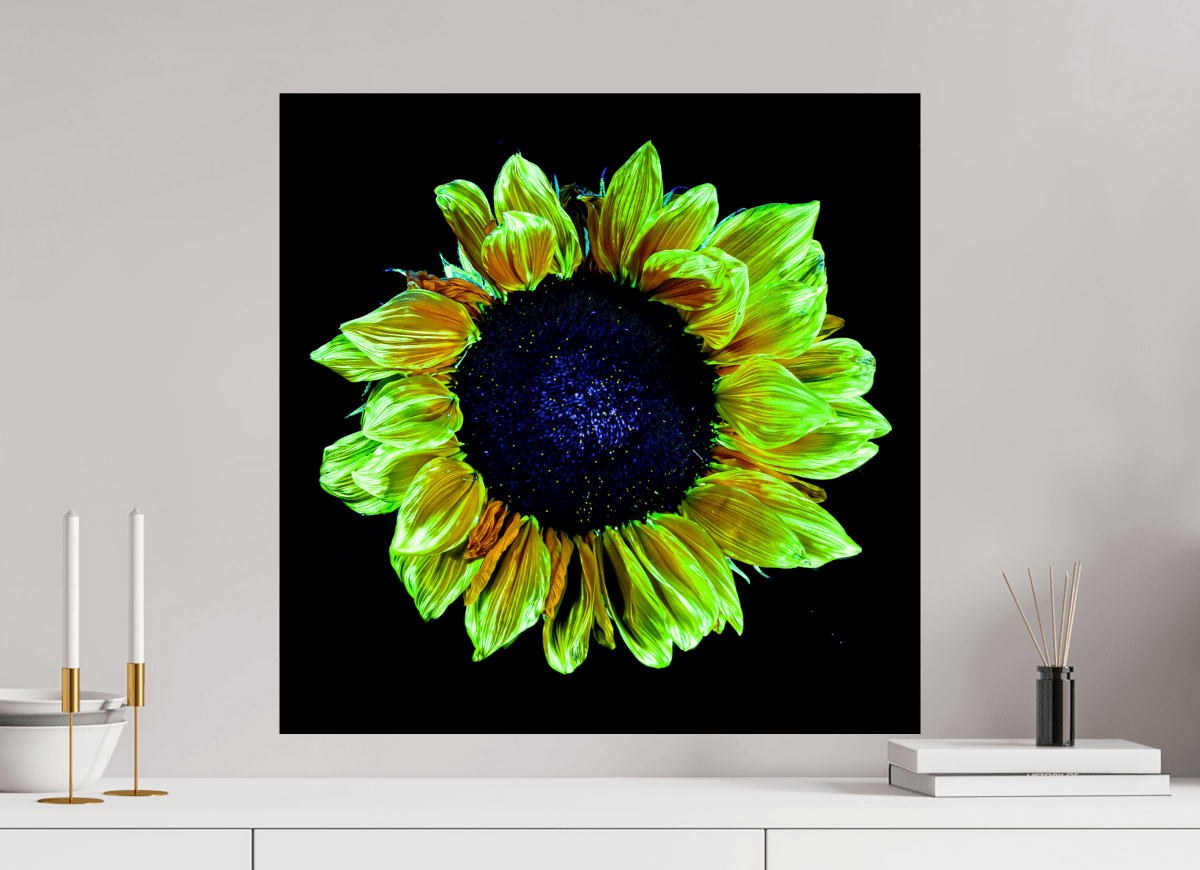 Couronne de lumière - Idealart