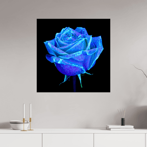 La Rose qui Rêvait le Ciel - Idealart