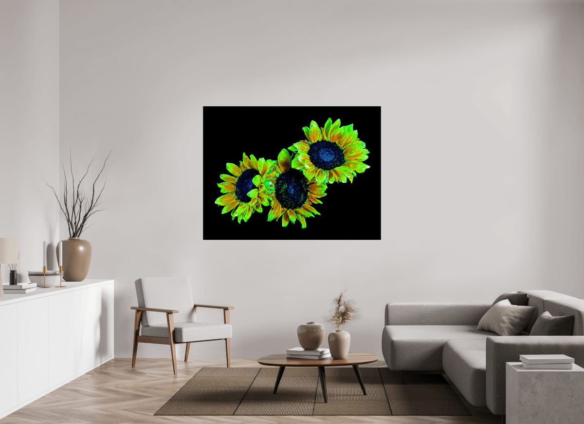 Les gardiens du jour endormi - Idealart