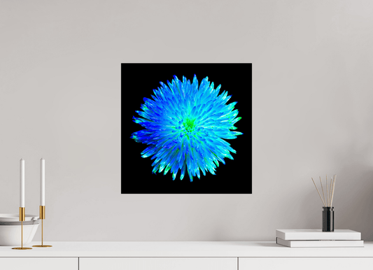 L’Astre Bleu - Idealart