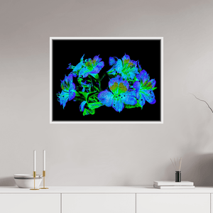 Constellation Florale - Idealart