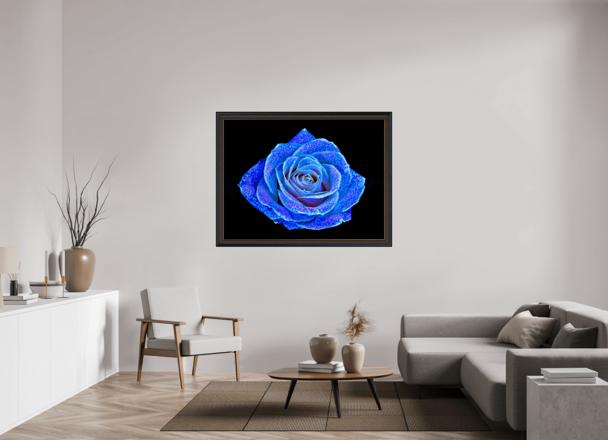 La Rose aux mille constellations - Idealart