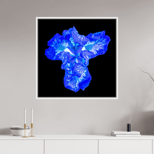 Iris du Cœur Lumineux - Idealart