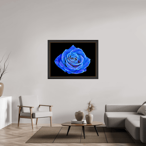La Rose aux mille constellations - Idealart