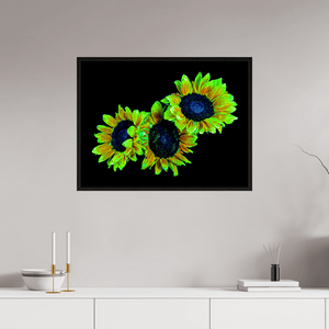 Les gardiens du jour endormi - Idealart