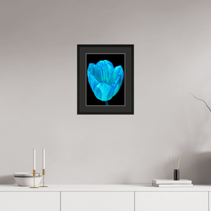Calice de lumière - Idealart