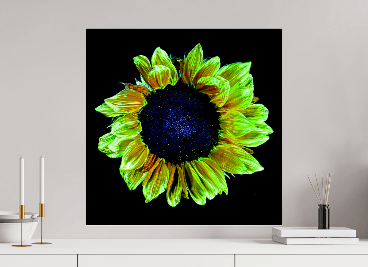 Couronne de lumière - Idealart