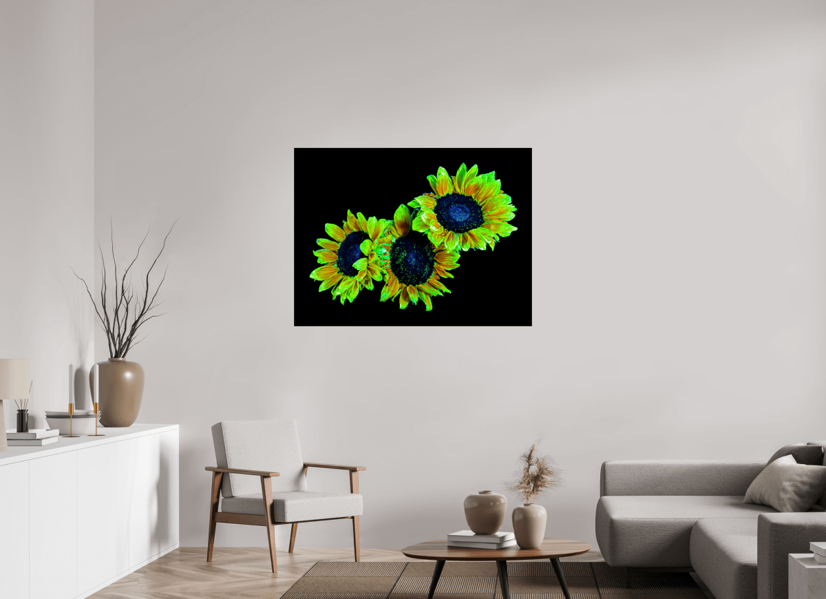 Les gardiens du jour endormi - Idealart