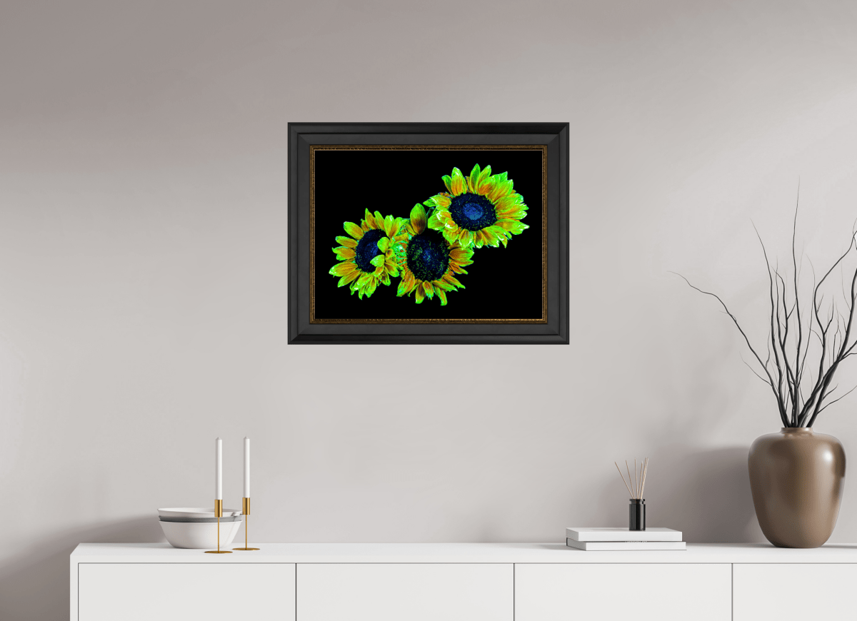 Les gardiens du jour endormi - Idealart