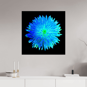 L’Astre Bleu - Idealart